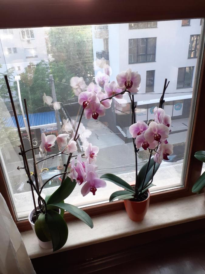 瓦爾納Four Seasons +公寓 外观 照片
